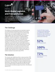 Preview of the Large Multimodal Transportation Company Case Study