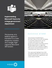 Preview of the Large US Government Organization Case Study