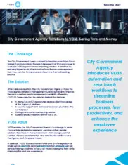 Preview of the City Government Agency Case Study