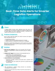 Preview of the Leading Logistic Company Case Study