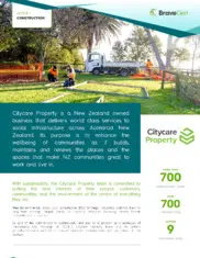 Preview of the Citycare Property Case Study