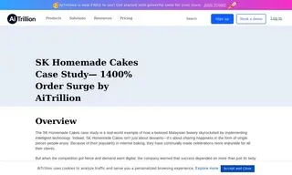 Preview of the SK Homemade Case Study