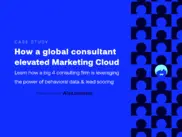 Preview of the Big 4 Consulting Firm Case Study