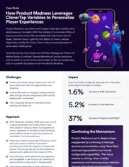 Preview of the Product Madness Case Study