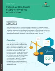 Preview of the Rosen Law Firm Case Study
