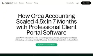 Preview of the Orca Accounting Case Study