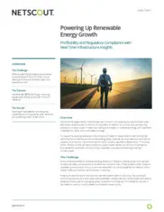 Preview of the Largest Electric Utility Company Case Study