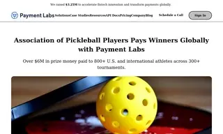 Preview of the The Association of Pickleball Players Case Study