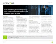 Preview of the Large US-Based ISP Company Case Study