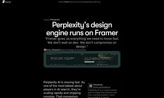 Preview of the Perplexity Case Study