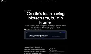 Preview of the Cradle Case Study