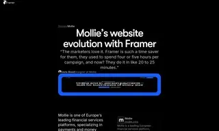 Preview of the Mollie Case Study
