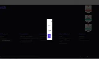 Preview of the Birlea Case Study
