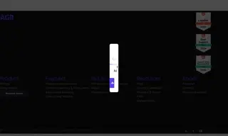 Preview of the Wynsors Case Study