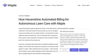 Preview of the Havenshine Case Study