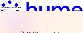 Preview of the Interview Optimiser Case Study
