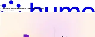 Preview of the Roark AI Case Study