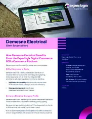 Preview of the Demesne Electrical Case Study