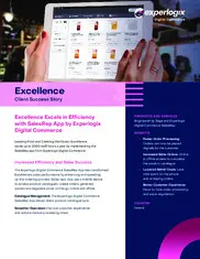 Preview of the Excellence Ltd Case Study