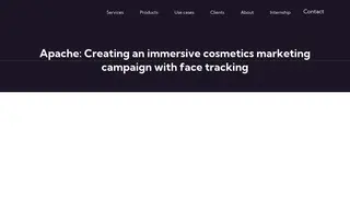 Preview of the Apache Case Study