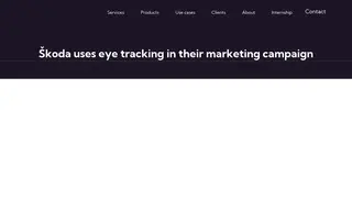 Preview of the Skoda Case Study