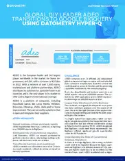 Preview of the Adeo Case Study