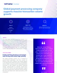 Preview of the Global Payment Processing Company Case Study