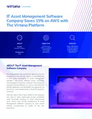 Preview of the IT Asset Management Software Company Case Study