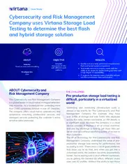 Preview of the Cybersecurity and Risk Management Company Case Study