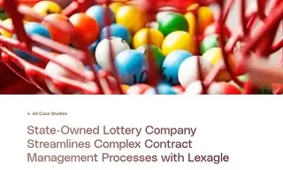 Preview of the State-Owned Lottery Company Case Study
