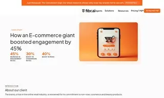 Preview of the Large E-Commerce Company Case Study