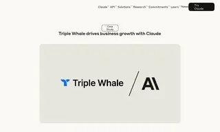 Preview of the Triple Whale Case Study
