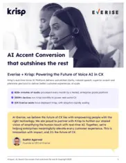 Preview of the Everise Case Study
