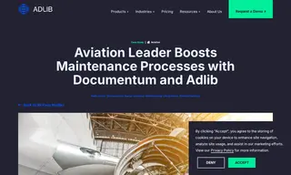 Preview of the World Largest Airlines Case Study