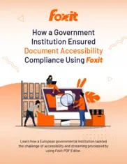 Preview of the Prominent European Government Institution Case Study