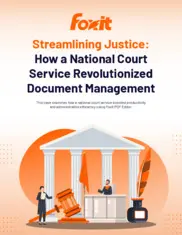 Preview of the Prominent National Court Service Provider Case Study