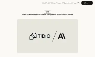 Preview of the Tidio Case Study