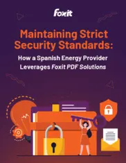 Preview of the Spanish Energy Provider Case Study