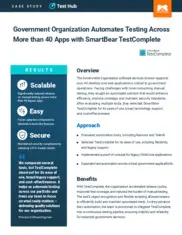 Preview of the U.S. State Government Agency Case Study