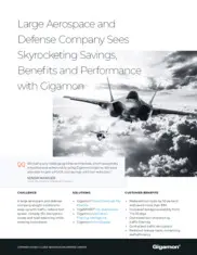 Preview of the Large Aerospace and Defense Company Case Study