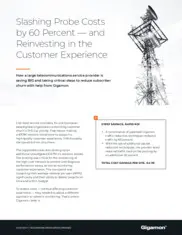 Preview of the Large Telecommunications Service Provider Case Study