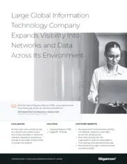 Preview of the Large Information Technology Company Case Study