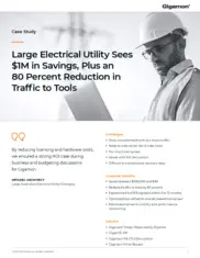 Preview of the Large Electrical Utility Case Study