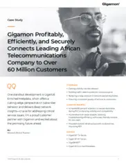 Preview of the Leading African Telecommunications Company Case Study