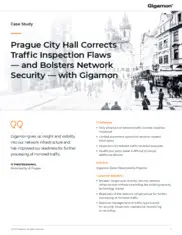 Preview of the Prague City Hall Case Study
