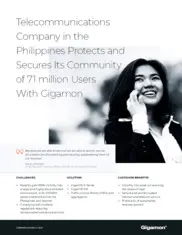 Preview of the Large Telecommunications Company Case Study