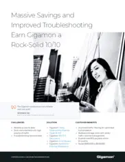 Preview of the Large Singapore Telecommunications Company Case Study