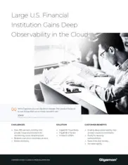 Preview of the Large U.S. Financial Institution Case Study
