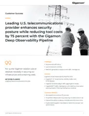 Preview of the Leading U.S. Telecommunications Provider Case Study