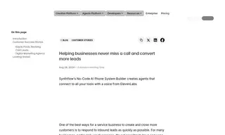 Preview of the Synthflow Case Study